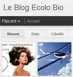 Le_blog_ecolo-bio_icone